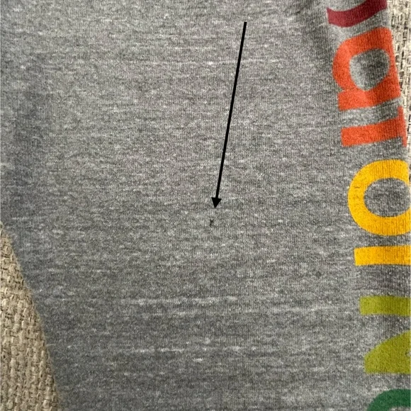 Aviator Nation 🌈 Grey Venice Logo Sweatshirt & Miami Logo Sweatpants Size Small - Picture 11 of 13